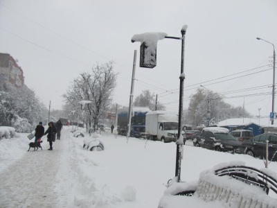 У Чернівецькій області випала рекордна кількість снігу (ФОТО)