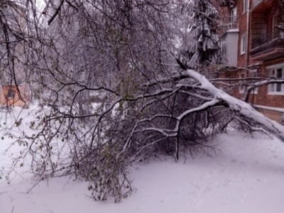 Снігові замети і захворюваність на ГРВІ. Головні новини Буковини за 9 лютого