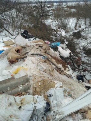 Буковинці на шоу «СТБ» та суд над депутатом Біликом. Головні новини Буковини 28 лютого
