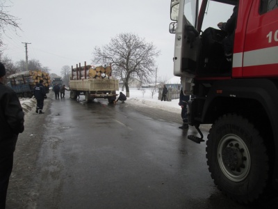 На Буковині вантажівка з’їхала з траси у кювет: причеп із деревом перегородив проїзд дорогою (ФОТО)