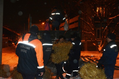 Рятувальники розповіли, як допомагали врятувати лелек від голоду на Буковині