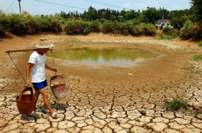 За даними ООН під загрозою нестачі води опинилась половина людства