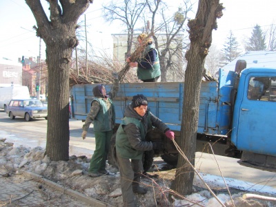 «Взимку обрізаю дерева, навесні копаю землю»: як працівниці зелентресту наводять порядок у Чернівцях