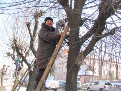 «Взимку обрізаю дерева, навесні копаю землю»: як працівниці зелентресту наводять порядок у Чернівцях