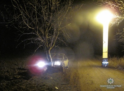 У Чернівецькій області легковик врізався у дерево: загинув пасажир