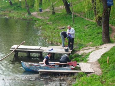 У Чернівцях у парку «Жовтневий» висадили водяні лілії (ФОТО)