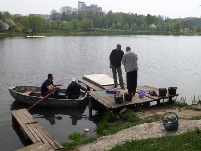 У Чернівцях у парку «Жовтневий» висадили водяні лілії (ФОТО)