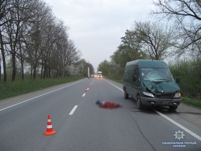 Страйк перевізників та відкриття тюльпанового поля. Головні новини Буковини 17 квітня