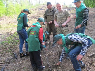 У Чернівецькій області школярі допомагають висаджувати ліс