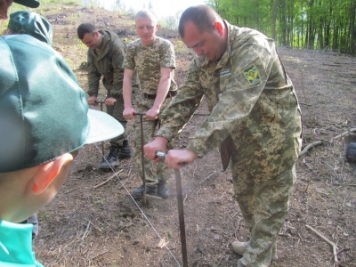 У Чернівецькій області школярі допомагають висаджувати ліс