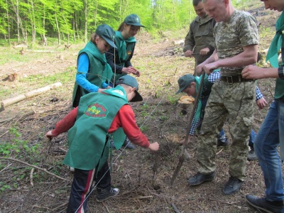 У Чернівецькій області школярі допомагають висаджувати ліс