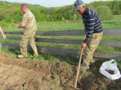 У Чернівецькій області школярі допомагають висаджувати ліс