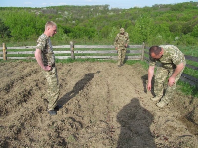 У Чернівецькій області школярі допомагають висаджувати ліс