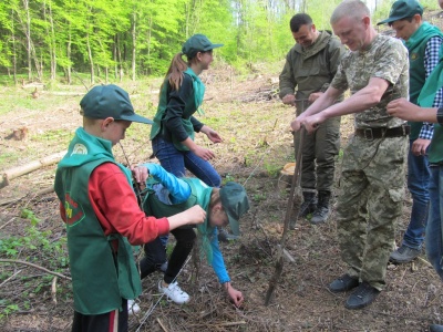 У Чернівецькій області школярі допомагають висаджувати ліс