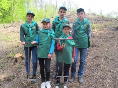 У Чернівецькій області школярі допомагають висаджувати ліс