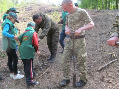 У Чернівецькій області школярі допомагають висаджувати ліс