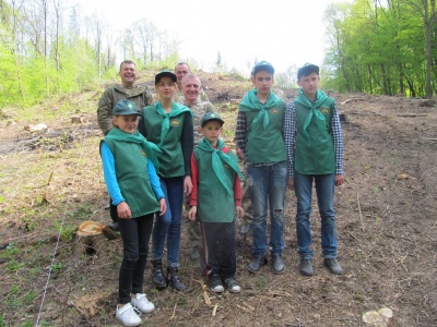 У Чернівецькій області школярі допомагають висаджувати ліс