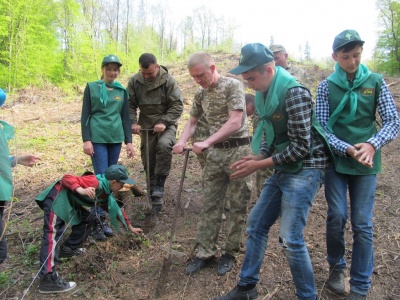 У Чернівецькій області школярі допомагають висаджувати ліс