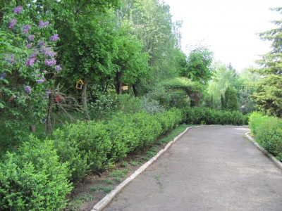 У Чернівцях у шкільному дендропарку ростуть понад 100 видів дерев (ФОТО)