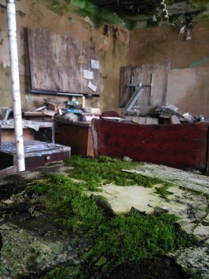 Прип’ять по-чернівецьки: у мережі показали розвалини колишнього заводу «Кварц» (ФОТО)