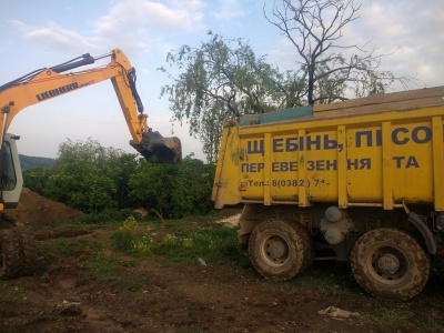 Яма з тушами курей: на Буковині селяни виявили тисячі трупів птиці й самотужки чистять скотомогильники