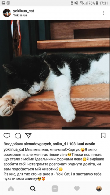 Кіт, що має сторінку в Instagram. Домашній улюбленець став постійним жителем ресторану в Чернівцях