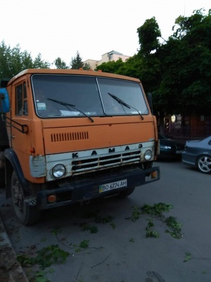 У Чернівцях у центрі міста невідомі знищили зелену зону - фото