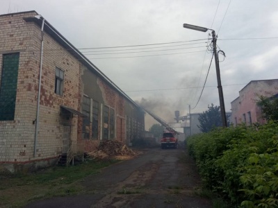 На Буковині рятувальники ліквідували масштабну пожежу на покрівлі пилорами