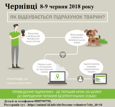 У Чернівцях до підрахунку безпритульних песиків запрошують волонтерів