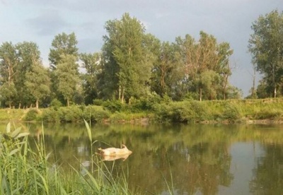 Вибух у лікарні та ажіотаж на Винника. Головні новини Чернівців 4 червня