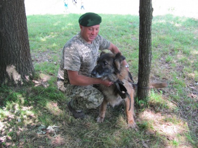 "Працювати з "німцями" - одне задоволення": на Буковині прикордонник виховує собак, які затримують порушників