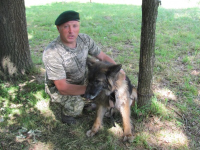 "Працювати з "німцями" - одне задоволення": на Буковині прикордонник виховує собак, які затримують порушників