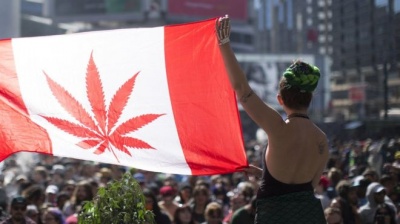 У Канаді Сенат легалізував марихуану