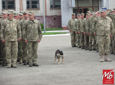 У Чернівцях зворушливо зустріли десантників, які повернулись додому із фронту - фото