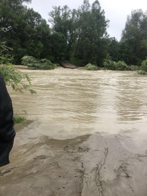 Загроза повені на Буковині. Річка Сірет піднялась до критичного рівня - відео