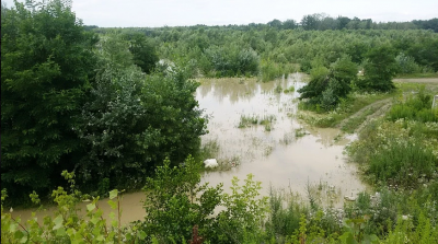 Стихія на Буковині. Вода в Пруті продовжує прибувати