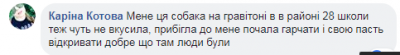 Лишила шрами на обличчі: у Чернівцях безпритульний собака покусав школярку