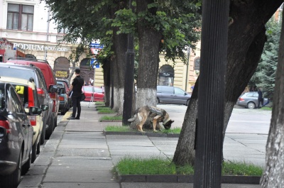 У Чернівцях у підозрілому пакеті під ОДА не знайшли вибухівки - фото