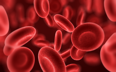 Як підвищити рівень гемоглобіну у крові: топ-7 продуктів