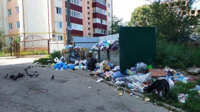 Розбірки чиновника з таксистом і ДТП за участю автобуса. Головні новини Буковини 27 серпня, які ви могли пропустити