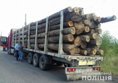 На Буковині поліція викрила двох перевізників лісодеревини без документів
