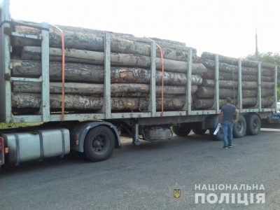 На Буковині поліція викрила двох перевізників лісодеревини без документів