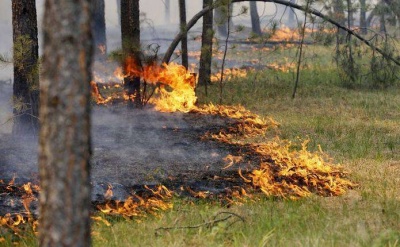 Рятувальники оголосили найвищий рівень пожежної небезпеки у більшості областей України