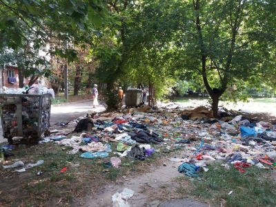 У Чернівцях на керівника ЖРЕПу склали протокол за купу неприбраного сміття