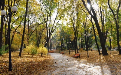 У перший день жовтня погода буде сонячною та по-осінньому теплою