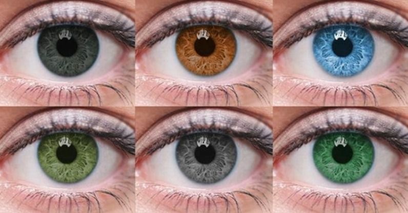 Дослідження та факти про найрідкісніший колір очей у людей