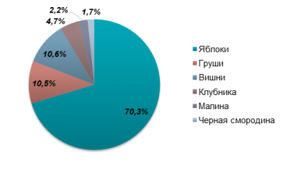 В Україні впали ціни на яблука через рекордний врожай 