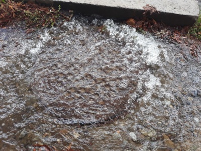 У Чернівцях струмок води з-під люка підтопив одне з головних перехресть - відео