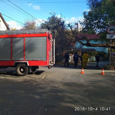 У Чернівцях через повалене дерево тимчасово перекрили вулицю Тисменицьку