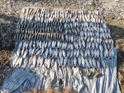 На Буковині спіймали двох браконьєрів, які виловили понад 10 кг риби у Дністрі